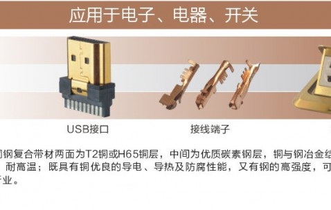 拜登被建議趕緊任命哈里斯當大法官